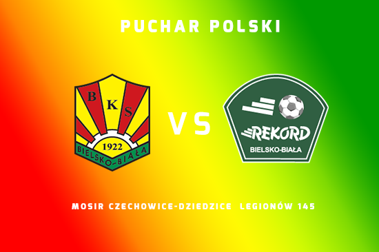 Puchar BOZPN dla Rekordu